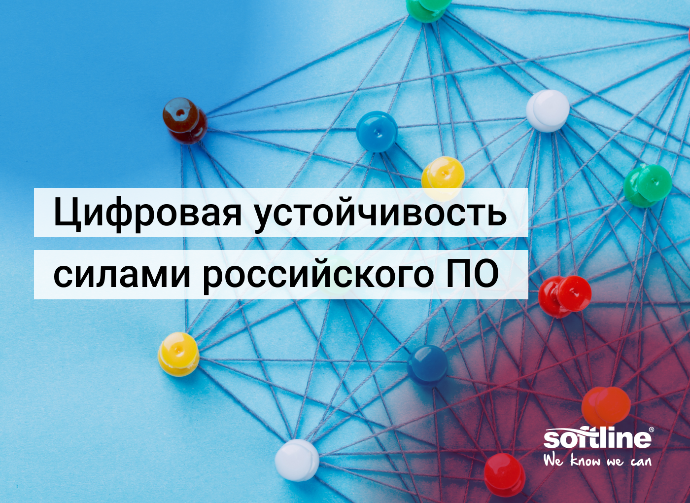 Softine ipo: риски и перспективы
