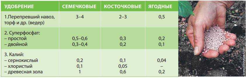 Ddos-guard – радиокоптер.ру