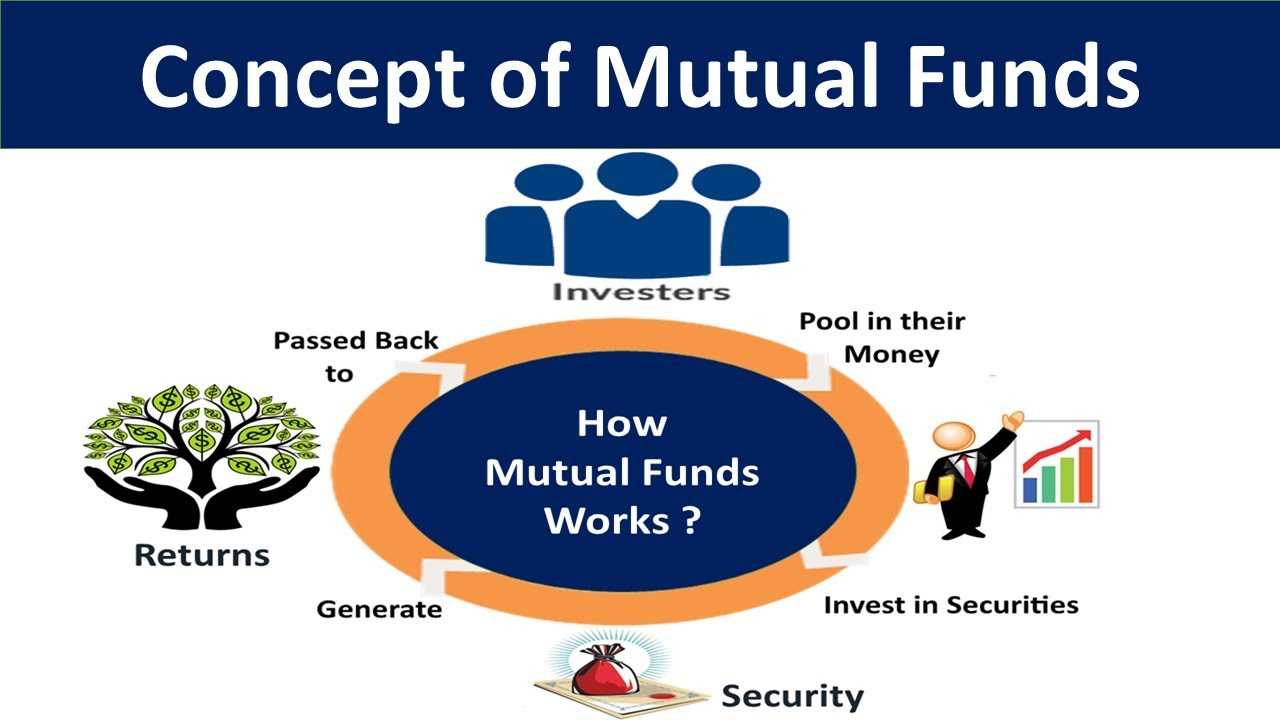 Взаимные фонды (mutual funds): что это такое и чем они лучше пифа?