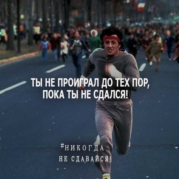 Современные информационно-справочные системы: принципы, виды и характеристики