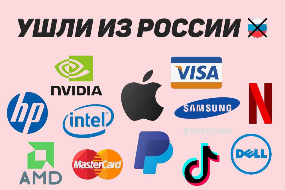 Lns что за компания