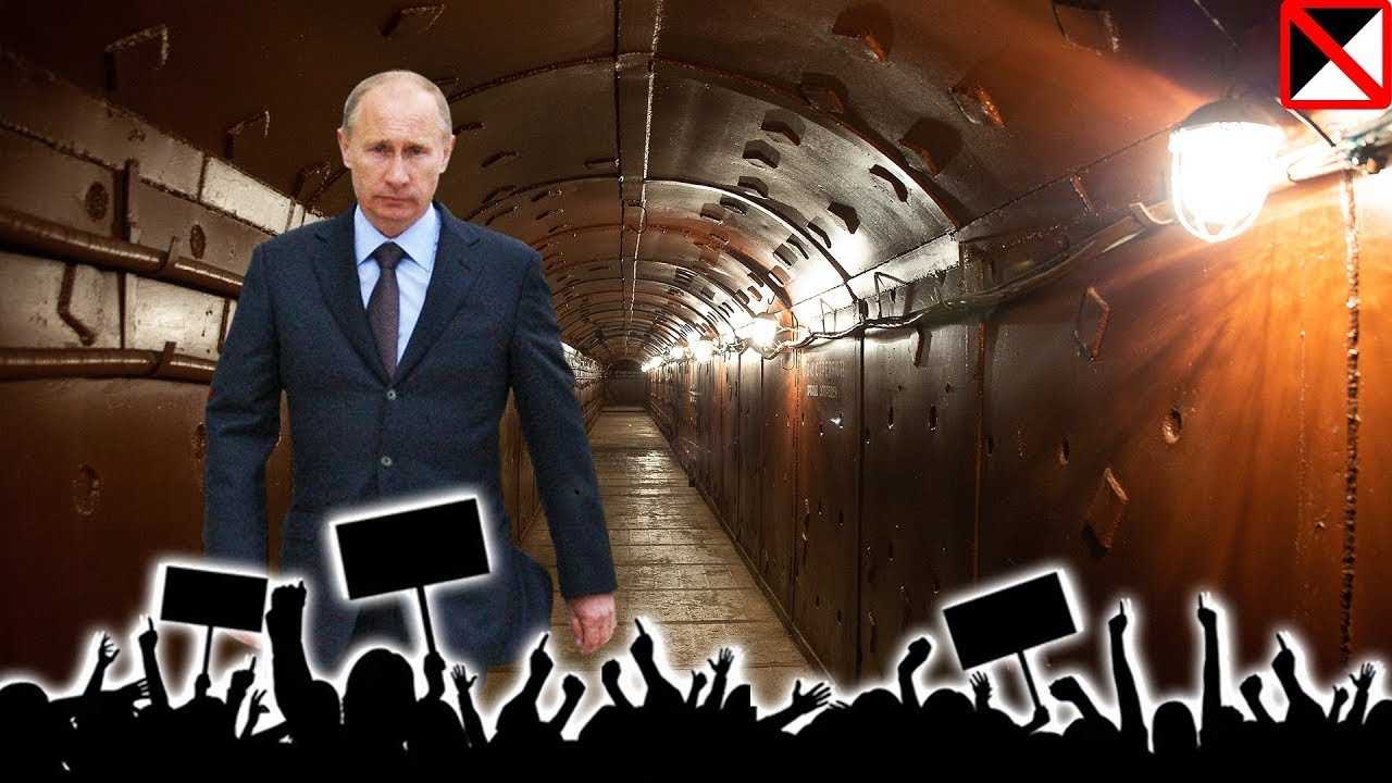 5 необычных страховых услуг, которые могут стать популярными | rusbase