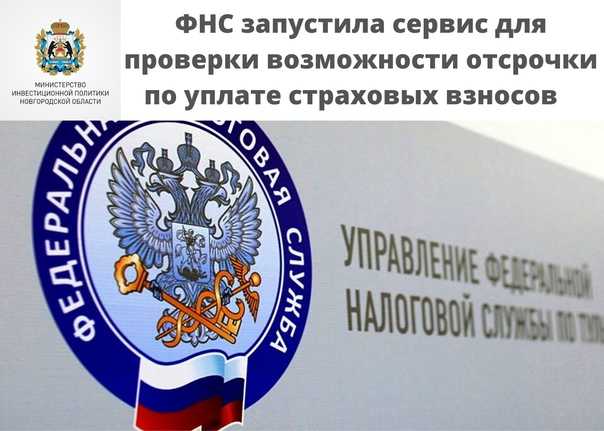 Платформа обратной связи (пос): подключение и установка виджета (пошаговая инструкция)