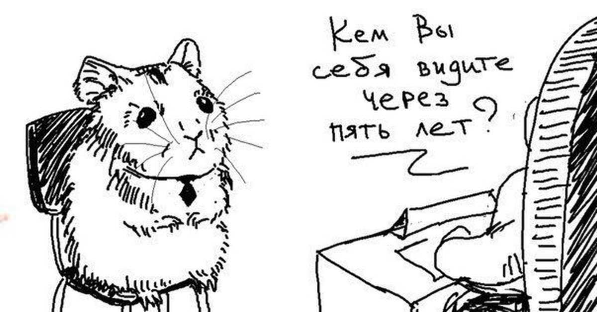 Примеры ответов на вопросы во время собеседования