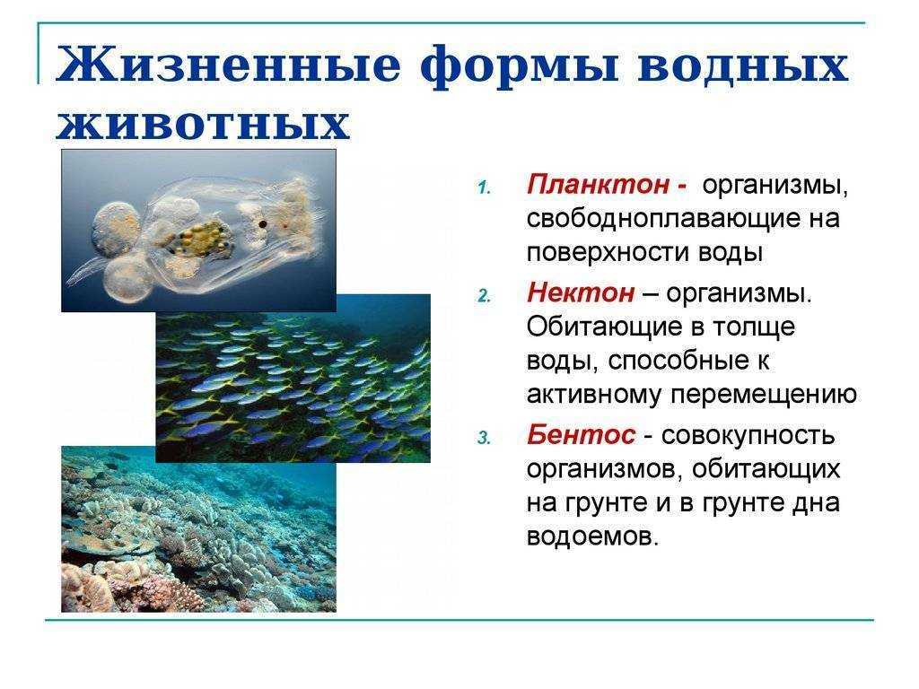 Финансовая сфера