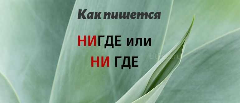 Нигде как пишется. Негде или нигде как правильно пишется. Ни где. Нигде правописание.