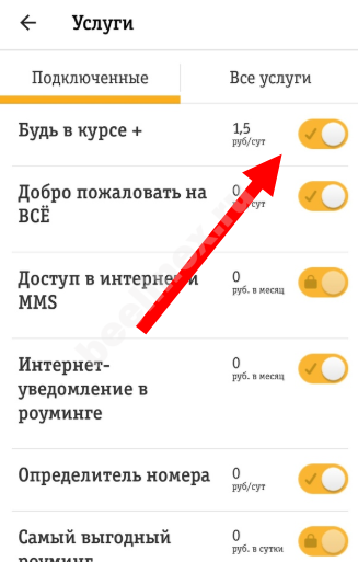 Отключить подписку билайн на телефоне самостоятельно