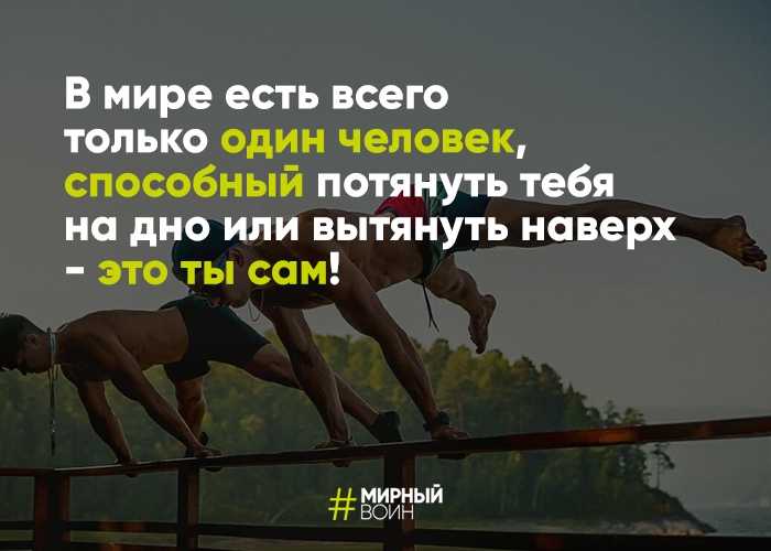 Оказание информационных услуг. виды информационных услуг